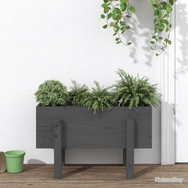 Jardinire gris 62x30x38 cm bois massif de pin