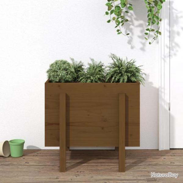 Jardinire marron miel 62x50x57 cm bois massif de pin