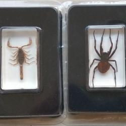 Lot 2 bestioles plastique - scorpion et l'araignée.
