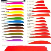 Trueflight Parabolic Feathers Black 4 in. RW 100 pk