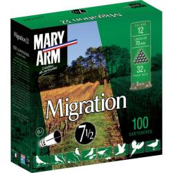 Pack 100 cart MIGRATION 32g 12 70 pb Taille