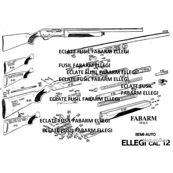 clat fusil FABARM ELLEGI (envoi par mail) - VENDU PAR JEPERCUTE (m1810)