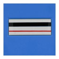 Grade velcro 5x5 plastifie relief chef de Police