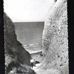 varengeville sur mer les gorges , carte postale semi-moderne