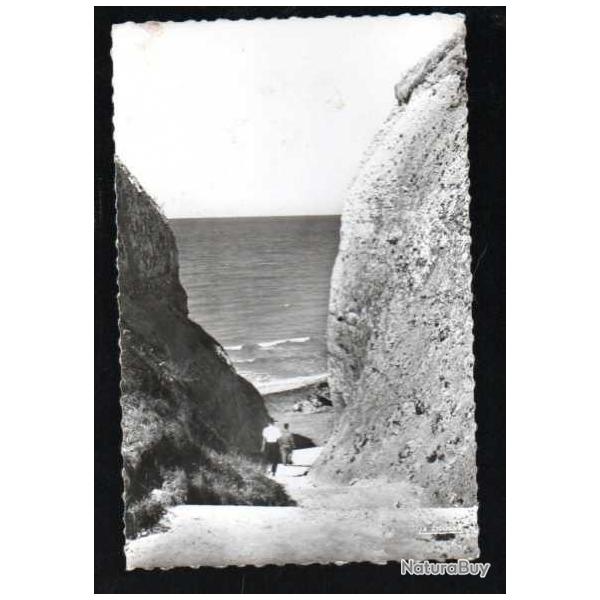 varengeville sur mer les gorges , carte postale semi-moderne