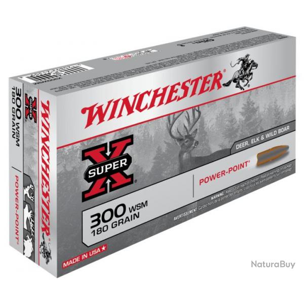 Munitions WINCHESTER 300 WSM 11.66g 180grains Power-Point