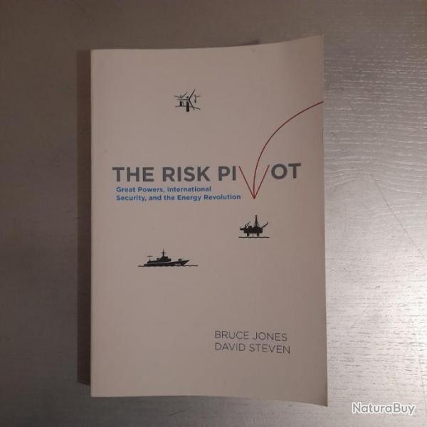 The Risk Pivot : Great Powers, International Security, and the Energy Revolution. Ddicac