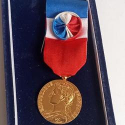 medaille argent vermeil ministere du travail borrel diamètre 27 cm