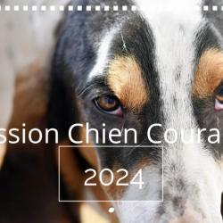 Calendrier Passion Chien Courant