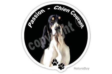 Passion Chien