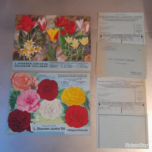 Catalogues de 1962 et 1963 tablissements Stassen Junior Vente d'Oignons  Fleurs
