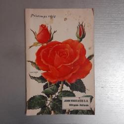 Catalogue John Voges Hollande - Rosiers, Bulbes de fleurs, Plantes vivaces - printemps 1968