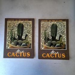 Mes cactus - collection mes amies les fleurs