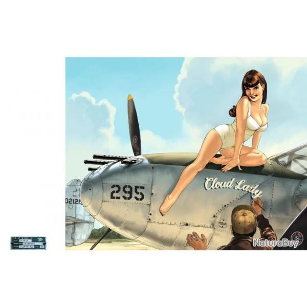 PIN UP WINGS Tome 3 des avions de lgende  ARMES ou Dsarms avec de trs belles PIN UP SEXY ??