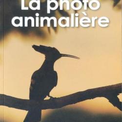 « La Photo Animalière » Par Cédric GIRARD | FAUNE SAUVAGE