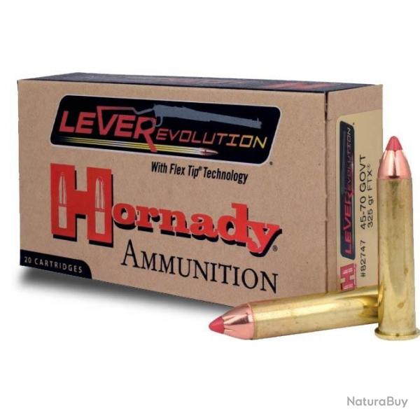 Balles Hornady 45-70 Govt 325 Gr FTX