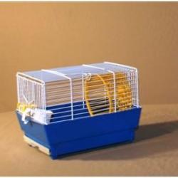 cage hamster fond bleu