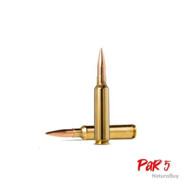 Balles  Norma Golden Target - Cal. 6.5x55 SE - 130 gr / 8.4 g / Par 5