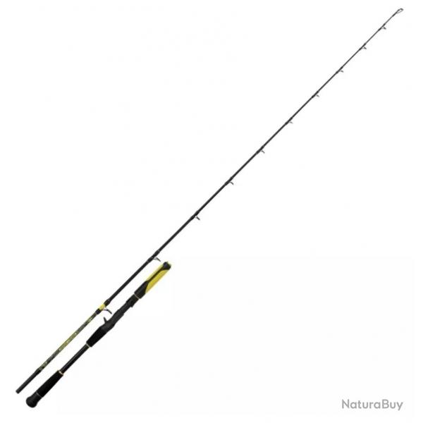 CANNE BLACK CAT PERFECT PASSION ALLSTAR CASTING 2M20 50-130GR
