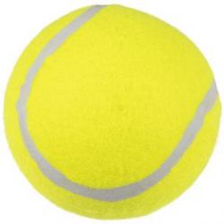 JOUET CHIEN BALLE DE TENNIS JAUNE 9.5CM