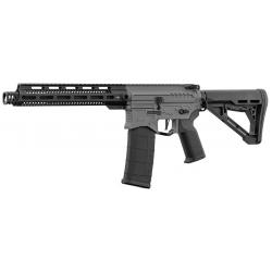 Réplique R15 mod 1 Zion Arms noir/gris garde main long