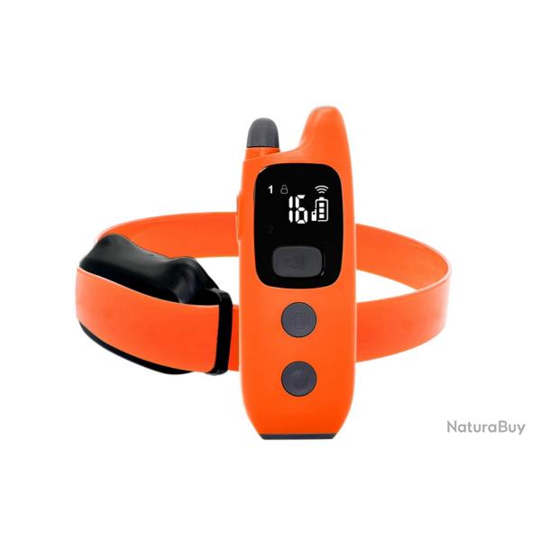 Collier de Dressage ProHunt 600 mtres