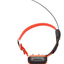 Collier Supplémentaire GPS Et Dressage Num'Axes Canicom