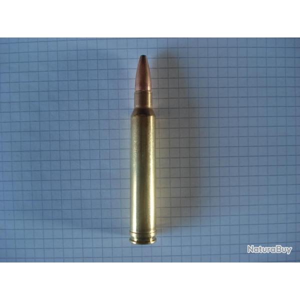 1 cartouche de 8 mm remington magnum ogive demi blinde pour collection