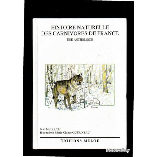 histoire naturelle des carnivoires de france une anthologie de jean meloche illustrations gurineau