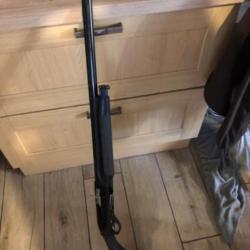 Benelli cal 12