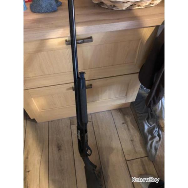 Benelli cal 12