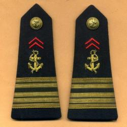 Epaulettes Troupes de Marine  -  TDM - colo - Colonel