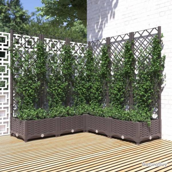 Jardinire avec treillis Marron 120x120x121,5 cm PP