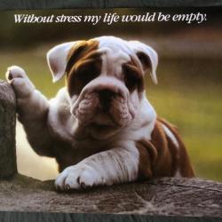 Affiche, poster, : Sans stress, ma vie serait vide 43 x 61 cm
