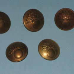 14-18 : boutons capote soldats d'infanterie laiton diamètre 24 mm.