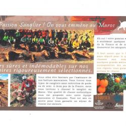 Offre Chasse sangliers au Maroc