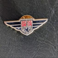 H pins pin's Brevet Insigne militaire Aile Pilote de Chasse lapel pin pilot wing Taille : 30 * 13 mm