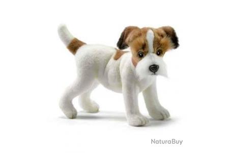 Peluche chien jack russel online