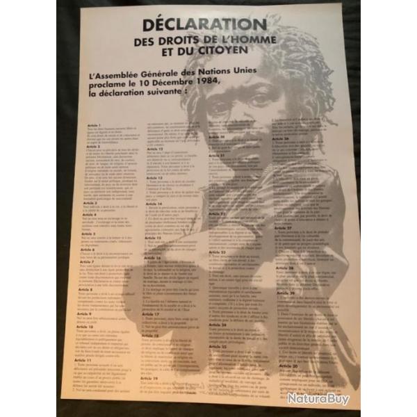Affiche, poster, : Dclaration des droits de l'homme 43 x 61 cm