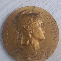 Belle médaille de table République Française Adolphe Rivet  bronze