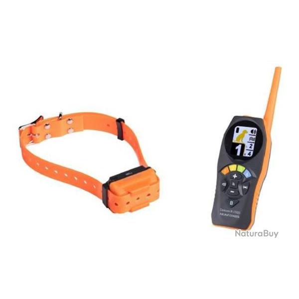 PACK COLLIER DE DRESSAGE NUM'AXES CANICOM R 1500