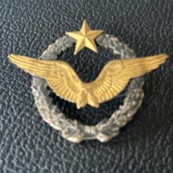 Brevet aviation insigne