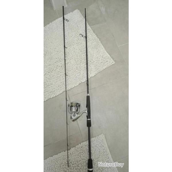 Lot une canne avec moulinet Canne fat black en 15-40gMoulinet Daiwa Crossfire lt taille 2000