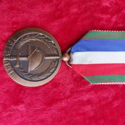 Médaille des 50 ans de L'UNE. militaria