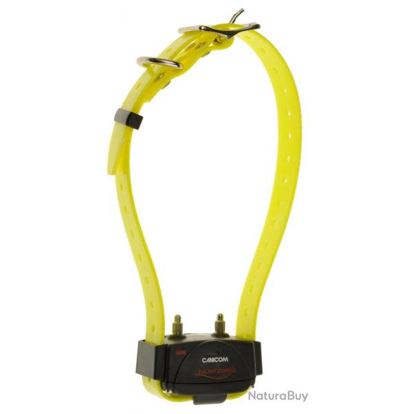 Collier d'ducation Canicom seul avec sangle jaune - NUM'AXES