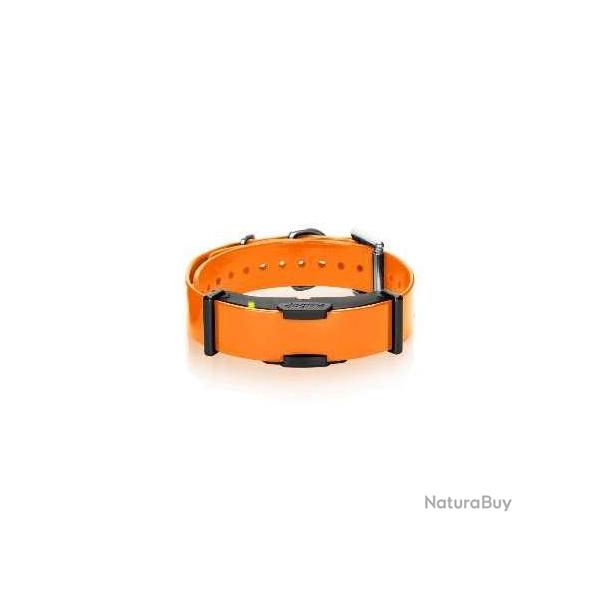 Collier supplmentaire de dressage Dogtra ARC 800 Orange