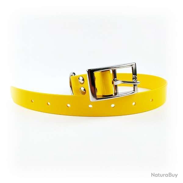 Garmin SportDog Dogtra sangle de rechange Biothane 2,5 x 60 cm colliers bleu ciel