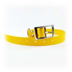 Sangle gravée "GPS" Biothane® 2,5 x 65 cm pour collier Garmin - SportDog - Dogtra jaune oeuf