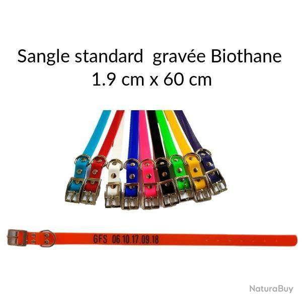 Sangle grave standard Biothane 1.9 x 60 cm Rose