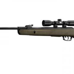 Carabine à plombs 4,5 mm GAMO Big Cat 1000-E Barricade (19,9 joules) + Lunette 4x32